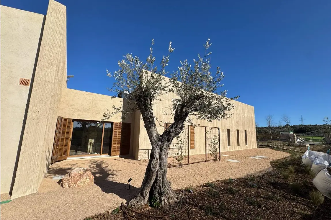 Fachada de la vivienda unifamiliar en Petra, Mallorca, junto a un olivo.